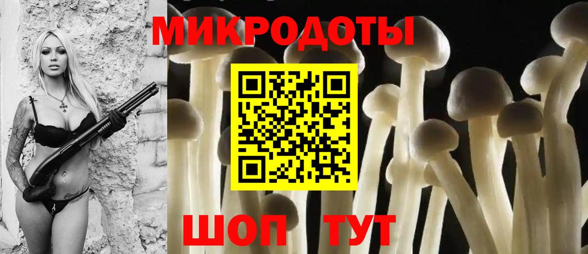 Снежинск  Псилоцибиновые грибы ЛСД  Вход с VPN  Галлюциногенные грибы Psilocybine cubensis 